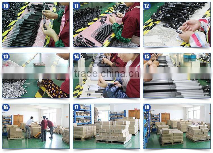 Professional Gas springs/gas struts/gas lift for autos