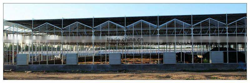 Large Span Glass Multi-span Greenhouse