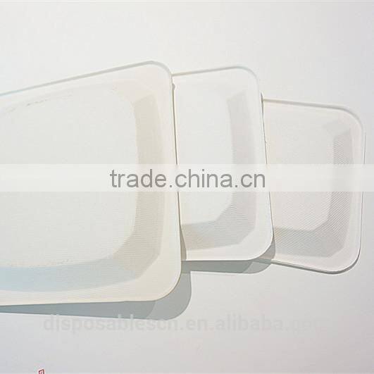 High Quality Different Size Biodegradable Sugar Cane Bagasse Pulp Square Plates