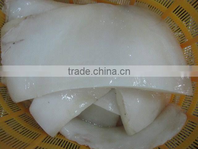 Giant squiid fillets