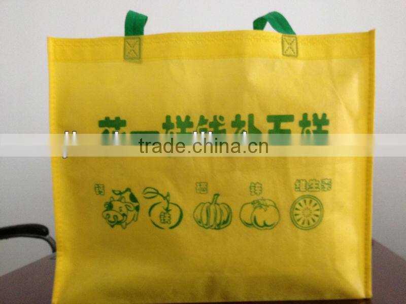 2013 non-woven hand bags