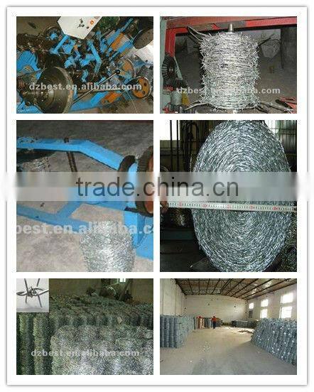 galvanized twist barbed wire