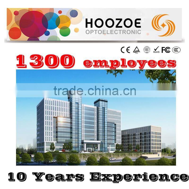 Hoozoe Waterproof Series-P10 Single Color LED Sign Screen