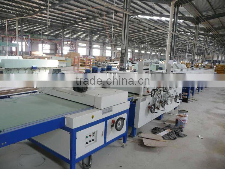 Hot Sales Drying Tunnel in DUBAI