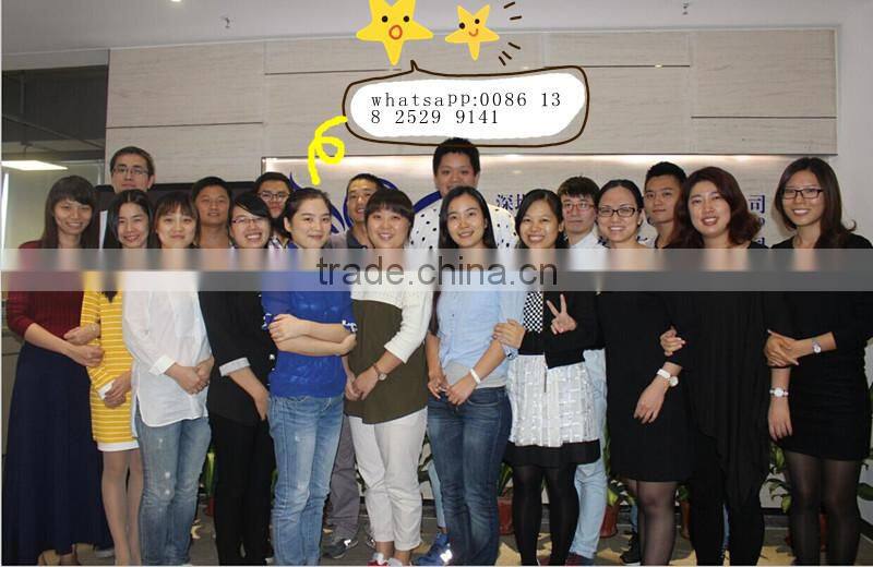 Silver mirror paint spray