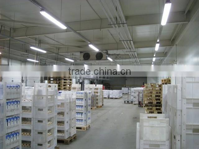 cheap 18w t8 high quality led pink tube 5000k