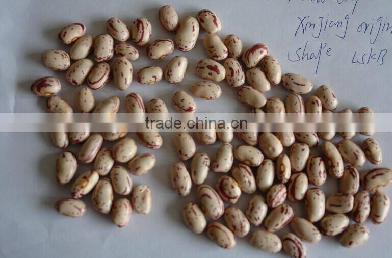2014 Light Speckled Kidney Beans, round shape, Xinjiaing origin