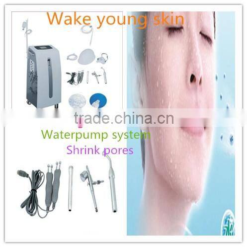 Newest oxygen skin rejuvenation ,pores removal and tightening skin machine for salon and clinic