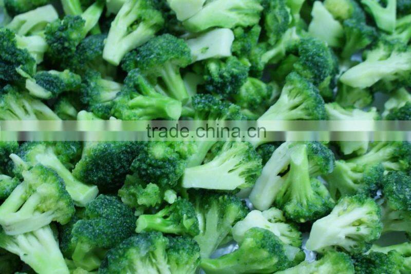 IQF broccoli /frozen broccoli