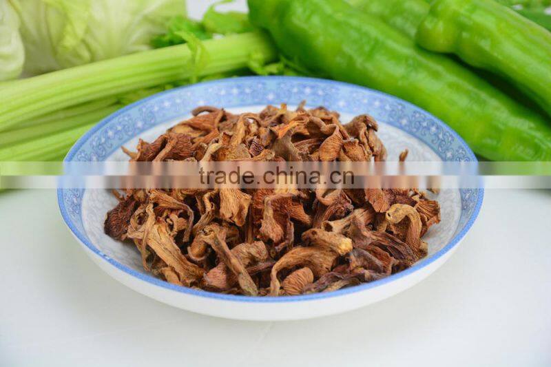 Good Quality Wild Organic Dried Chanterelle