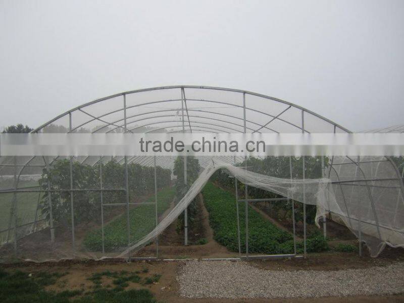 50gsm Transparent Anti Hail Nets protect plant from damage