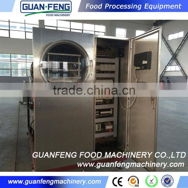 Professional Fruit Lyophilizer Equipment Industrial Freeze Dry Machine