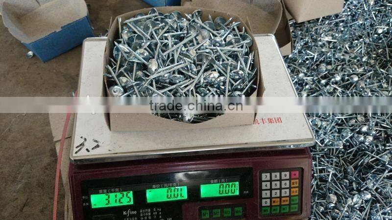 Hot sales! China factory supply high quality galvanized umbrella head roofing nails