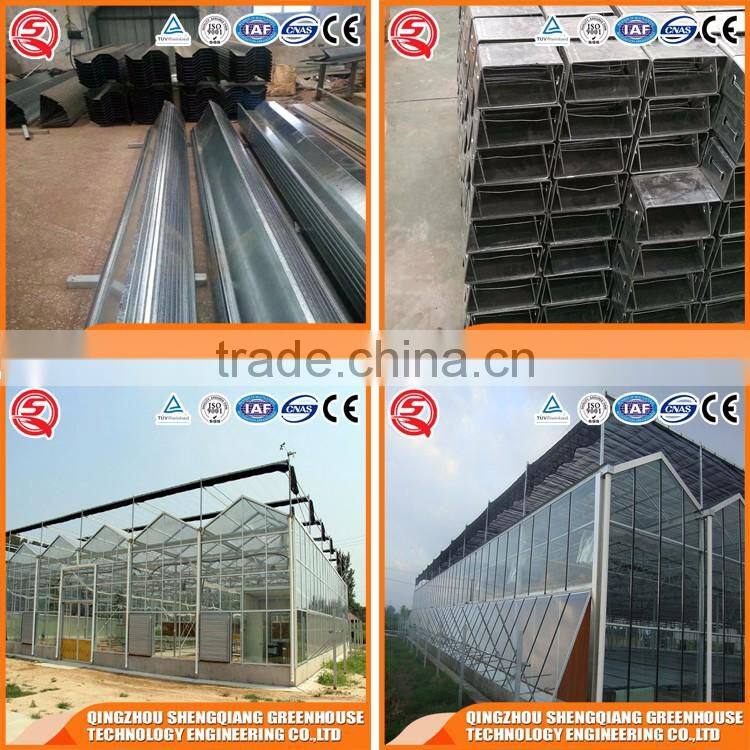 Agricultural equipment glass greenhouse with systems made in China