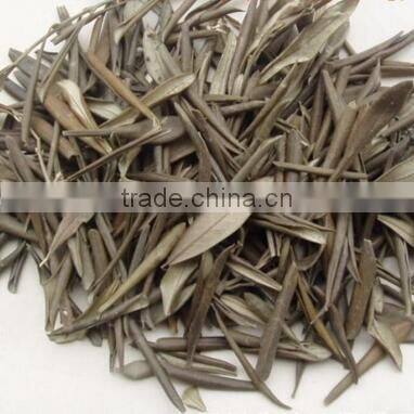 2016 new dried olive leaf