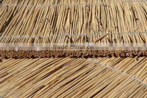 Reed Pannel for roof