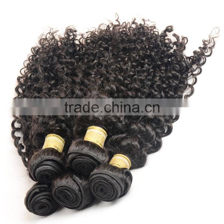 Unprocessed Virign Indian Human Hair Weaves Curly Wholesale Kinky Curly Indian Hair Extensions