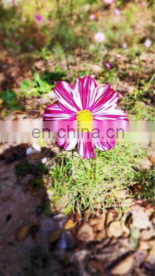 For Jeep wrangler ABS threshold of 4 door