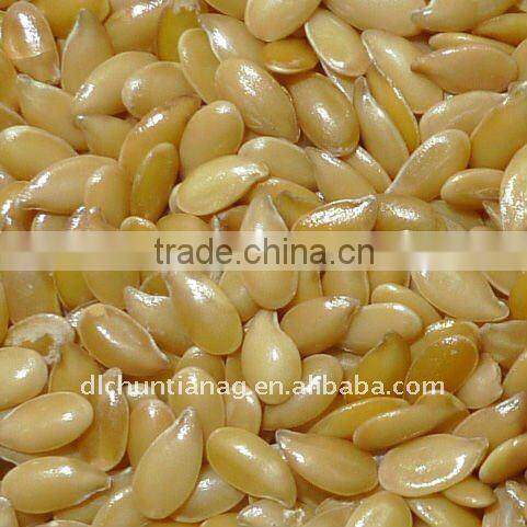 Chinese flax seeds/linseeds