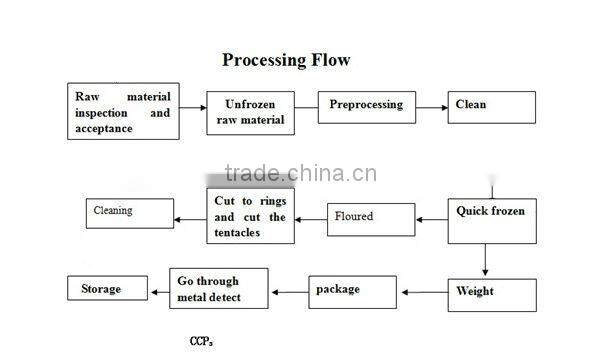 frozen squid tubes (LQF squid)fresh