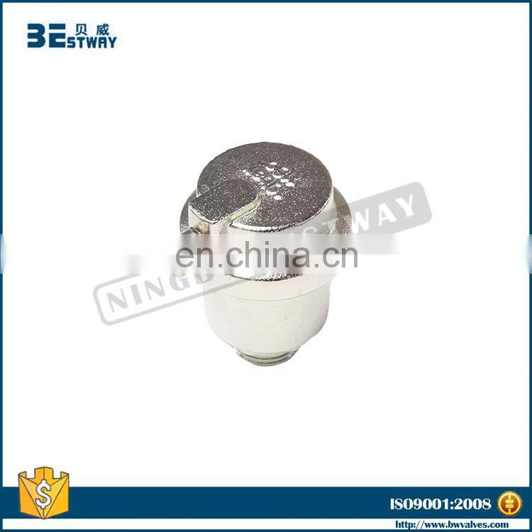 BWVA 100% payment protection new arrival brass air vent valve
