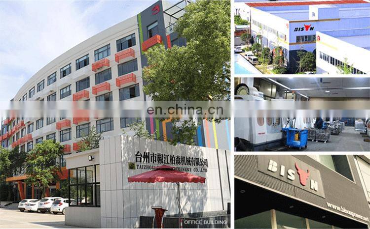 BISON(CHINA) Portable 2KW BS2500 Portable Gasoline Generator