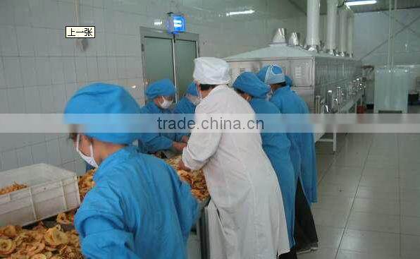 automatic high quantity Microwave vegetable drying equipment