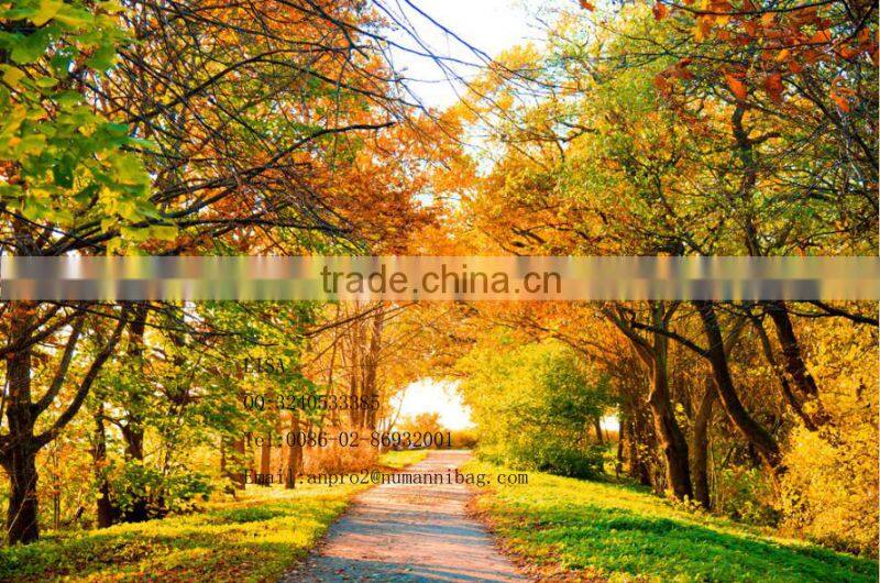 polyester material lightweight laptop briefcase bag