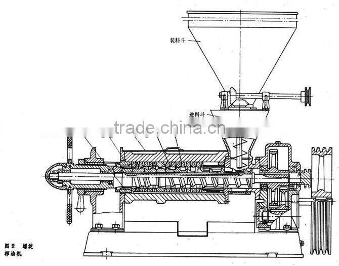 double screw almond oil press machine