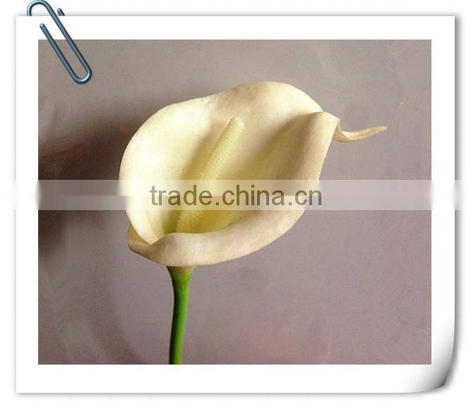 Low price wholesale PU material light green real touch callas flower