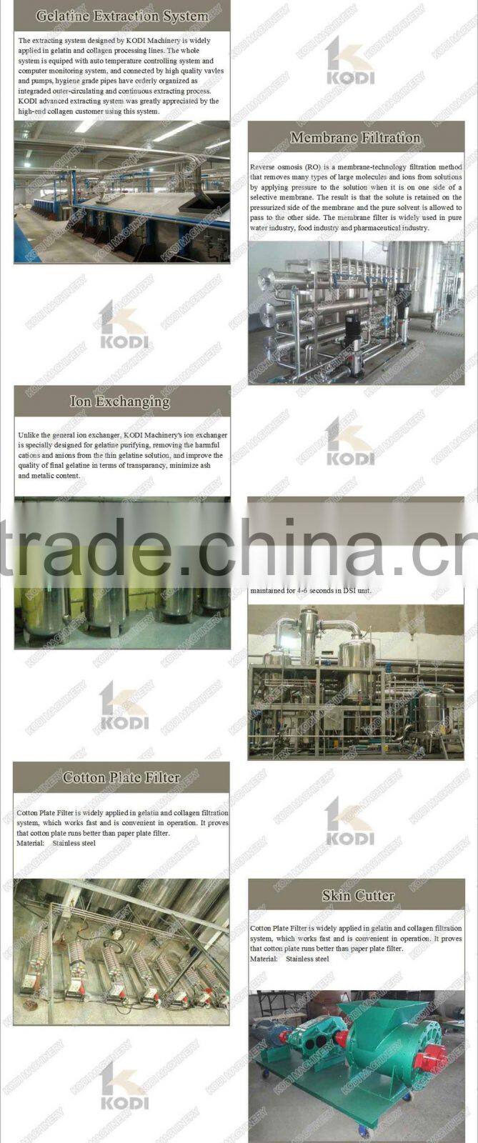 KODI High Quality Skin Gelatin Production Line