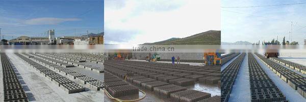 WT10-15 automatic hydraulic concrete curbstone plant price