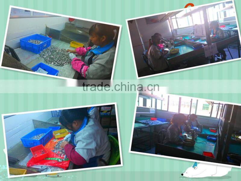 China Round Head Bolt For Computer