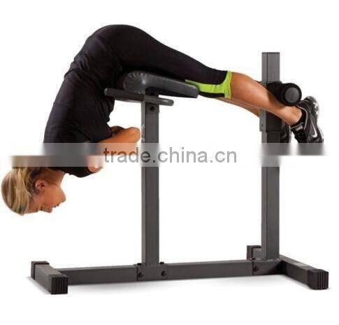 Roman Chair Hyperextension Bench Abdominal Back Exerciser Workout Fit