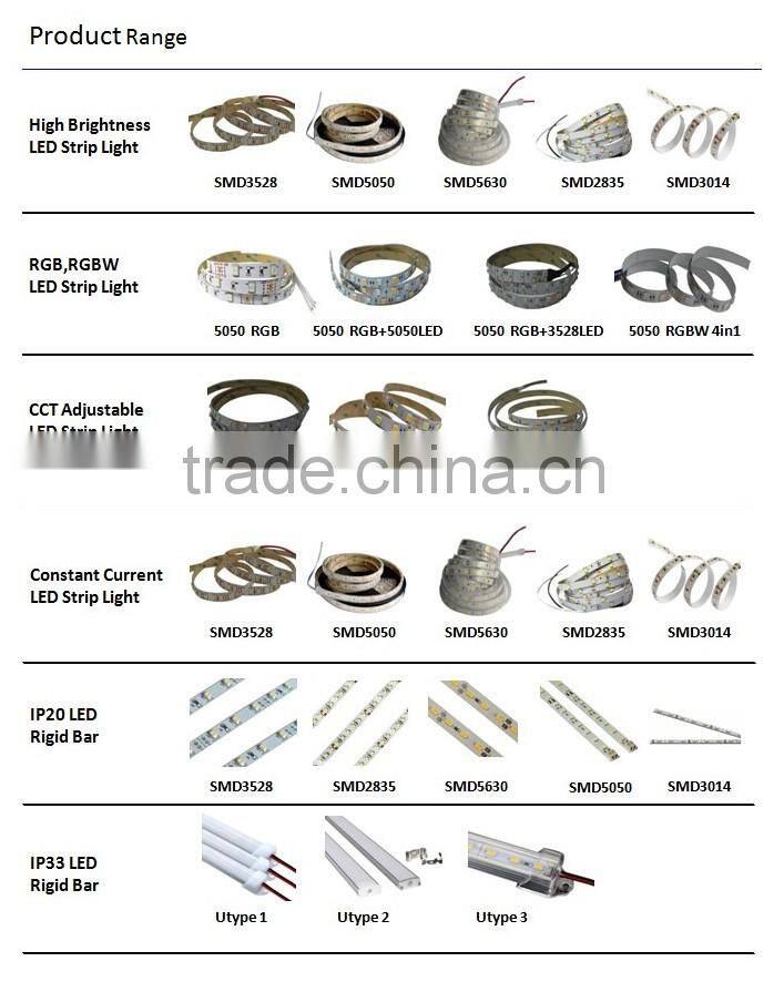 Single color double row 120led/m smd 5050 IP66/IP67 sicilon tube waterproof led flexible strip light tape 24V