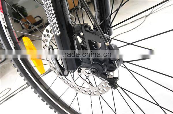 Mountain electric bike