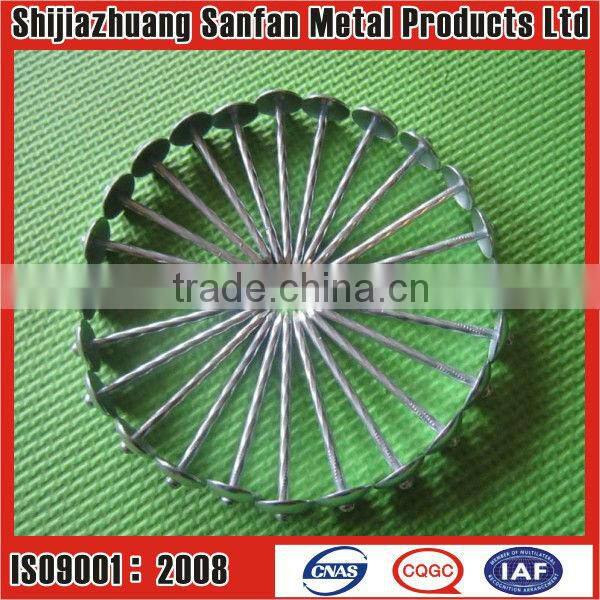 Manufacturer Galvanized Umbrella head roofing nails