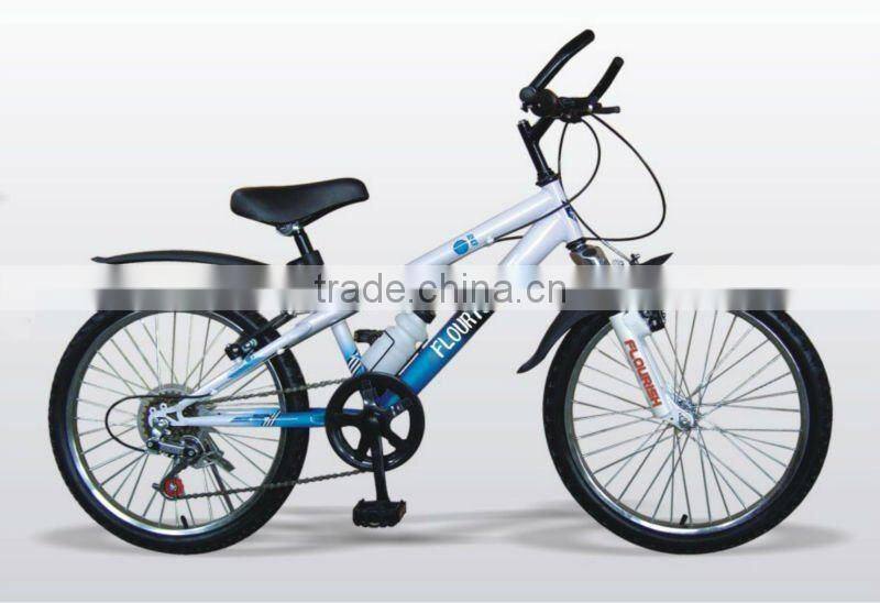 2012 popular mountain bike