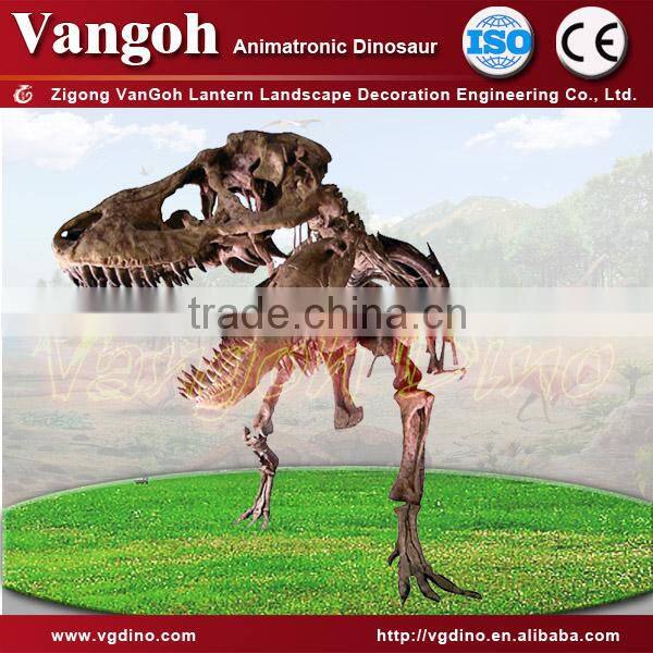 VGDS-5-dinosaur skeleton toy
