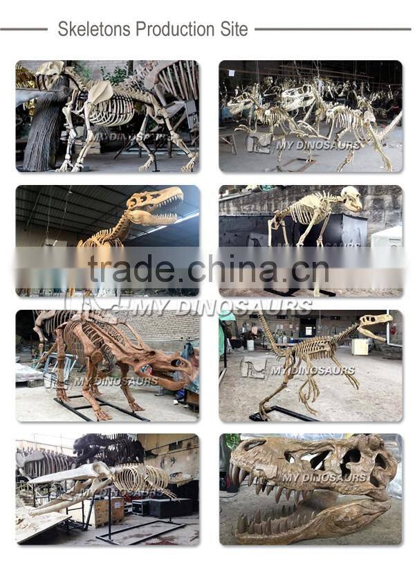 MY Dino-C058 Water park whale skeleton for sale