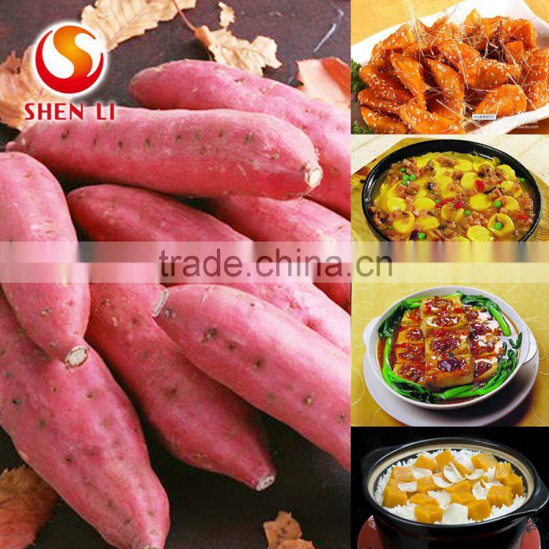 Natural Dry Sweet Potatos Healthy Berry