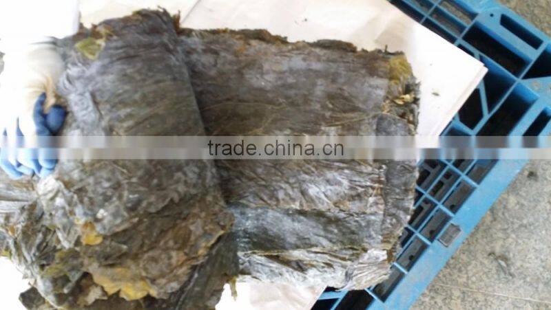 Dried kelp sheet, dried kelp board to conduct SPA treatments in beauty salons