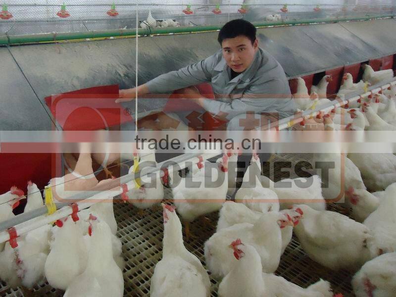 Goldenest Automatic bird nest / chicken nest boxes for laying hens sale