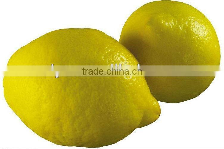 hot sale satinless steel guava peeling machine