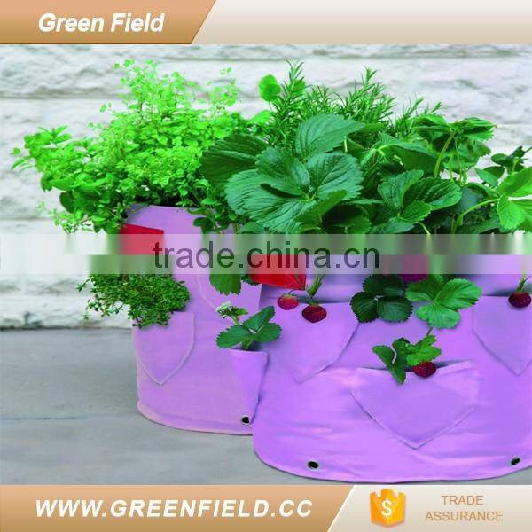 wholesale hydroponics strawberry planter used nursery pots