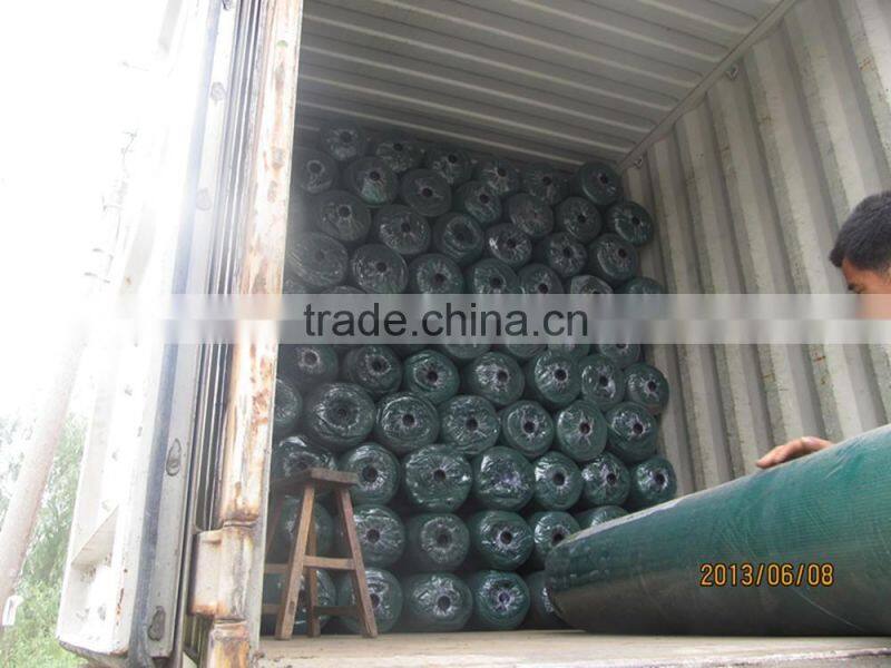 2016 the Hot sales HDPE UV Black agricultural shade screen