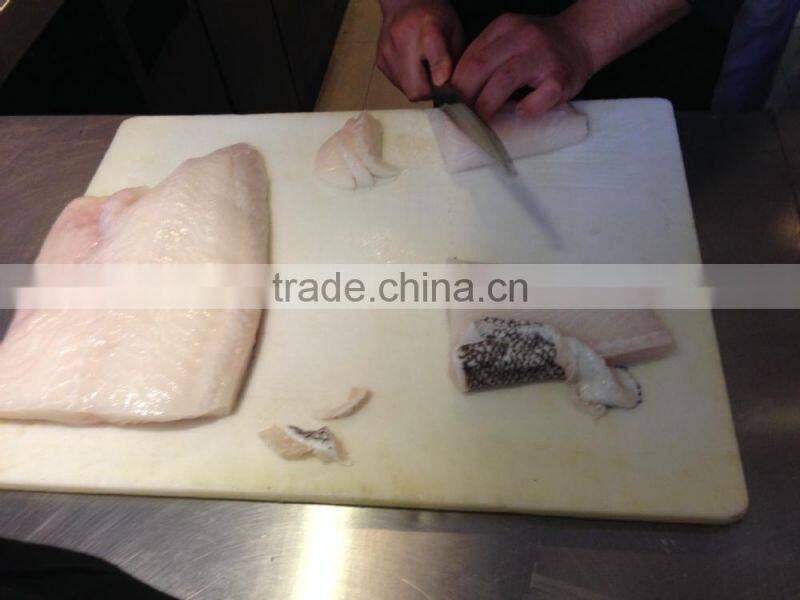 Patagonian Toothfish or Real Chilean Seabass