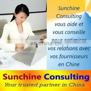 Professional French-Chinese Translator Interpreter Service in Shanghai