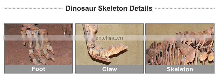 KAWAH Museum Exhibition Display Fake Fiberglass Dinosaur Bone