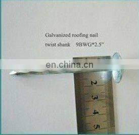 Hot Sale Twist Roofing nail(SW-043B)